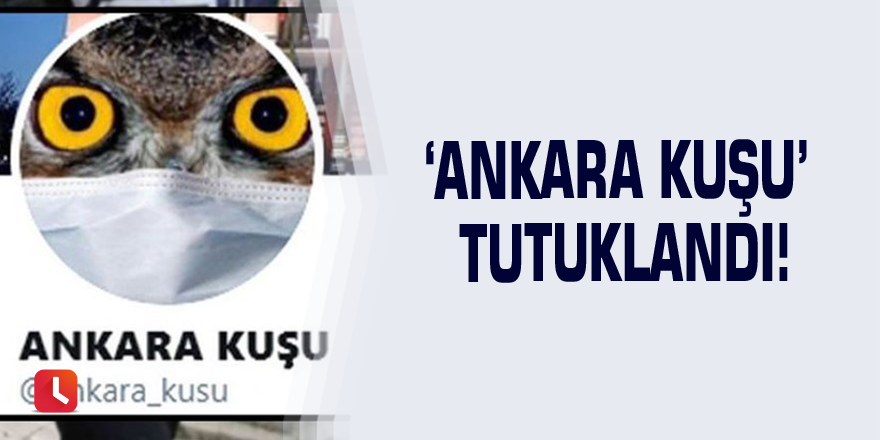 ‘Ankara Kuşu’ tutuklandı!