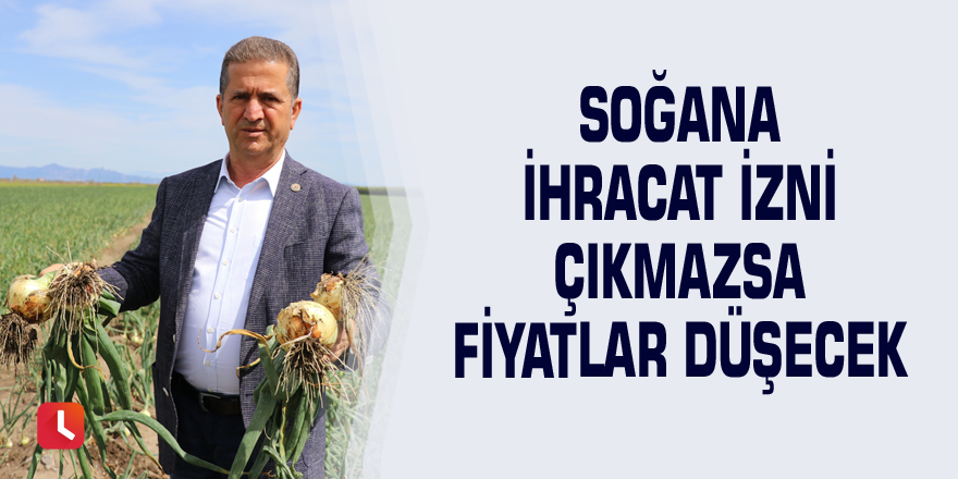 Soğana ihracat izni çıkmazsa fiyatlar düşecek