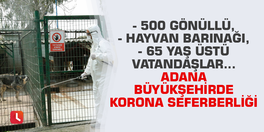 500 gönüllü, hayvan barınağı, 65 yaş üstü vatandaşlar... Adana Büyükşehirde korona seferberliği