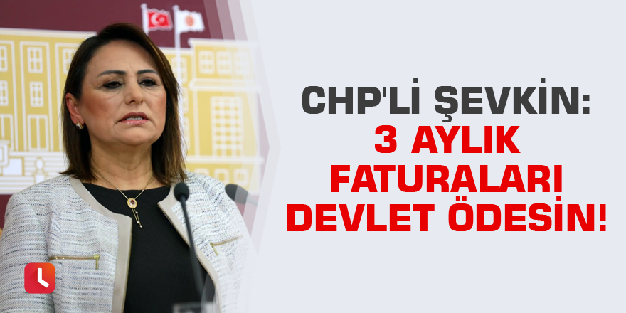 CHP'li Şevkin: 3 aylık faturaları devlet ödesin!