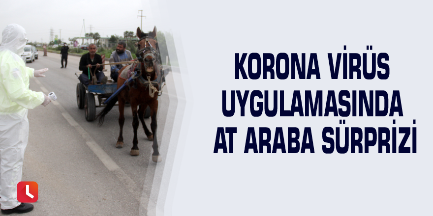 Korona virüs uygulamasında at araba sürprizi