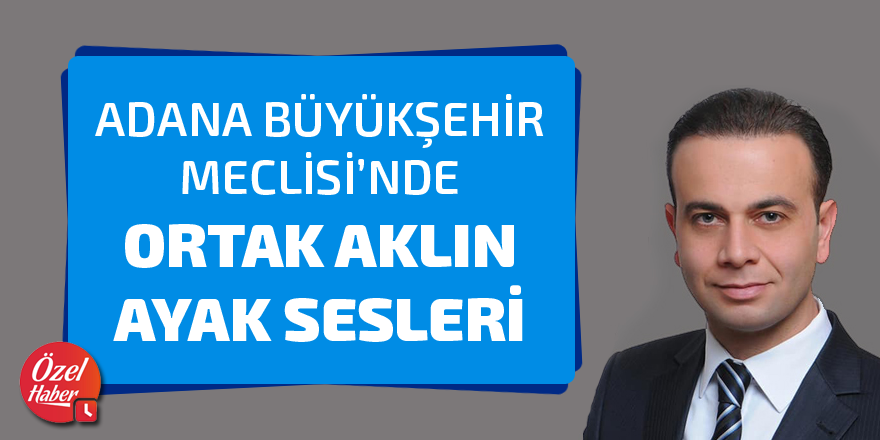 Büyükşehir meclisinde ortak aklın ayak sesleri