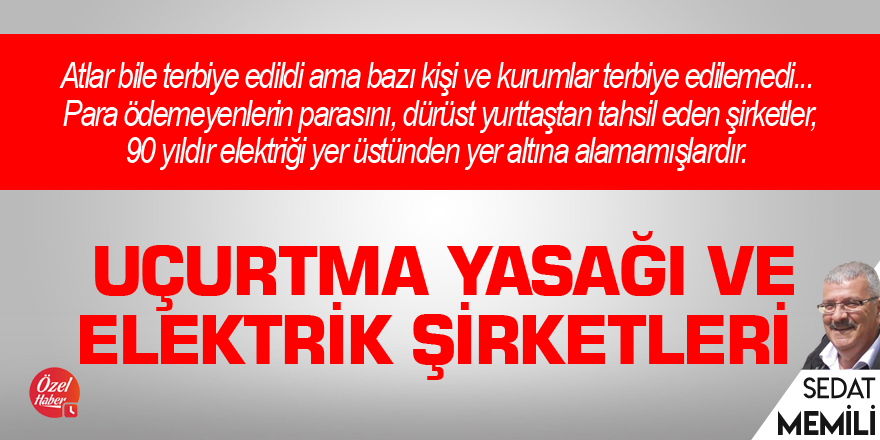 Uçurtma yasağı ve elektrik şirketleri