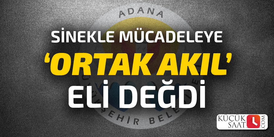 Sinekle mücadeleye ortak akıl eli değdi