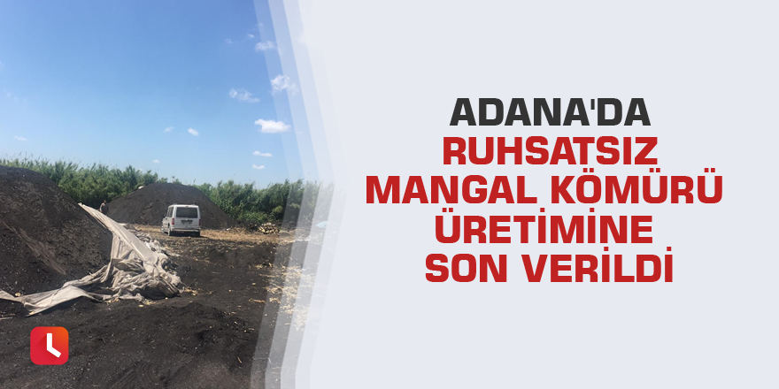 Adana'da ruhsatsız mangal kömürü üretimine son verildi
