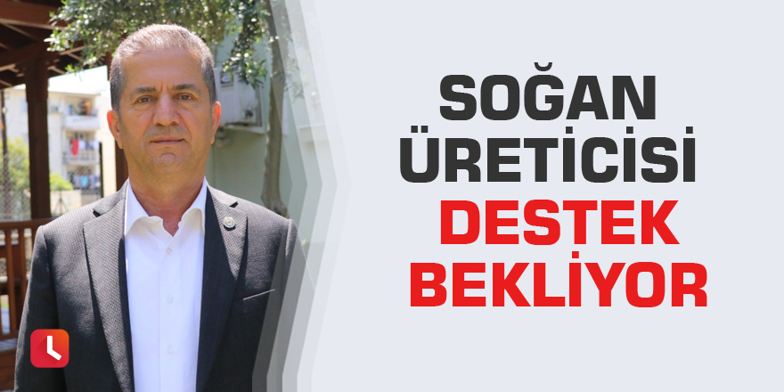 Soğan üreticisi destek bekliyor
