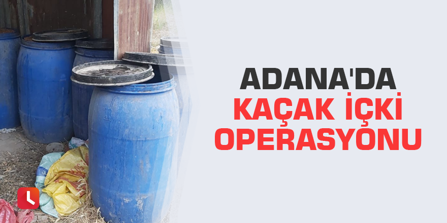Adana'da kaçak içki operasyonu