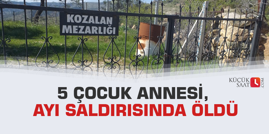 5 çocuk annesi, ayı saldırısında öldü