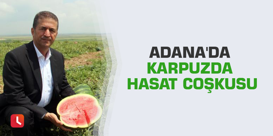 Adana'da karpuzda hasat coşkusu
