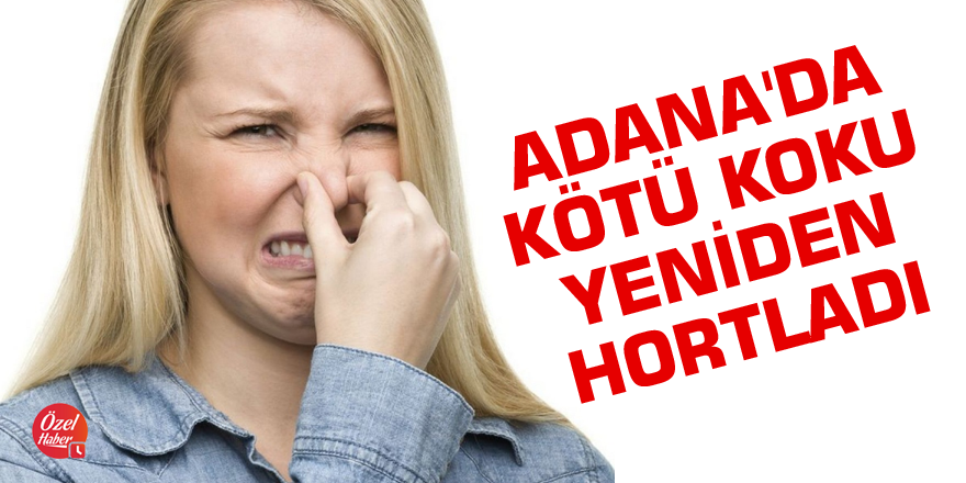 Adana'da kötü koku yeniden hortladı