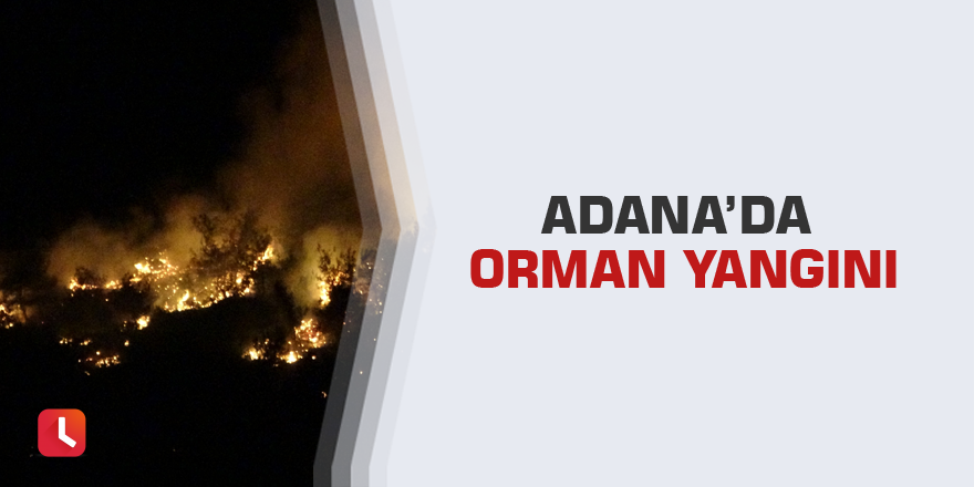 Adana’da orman yangını