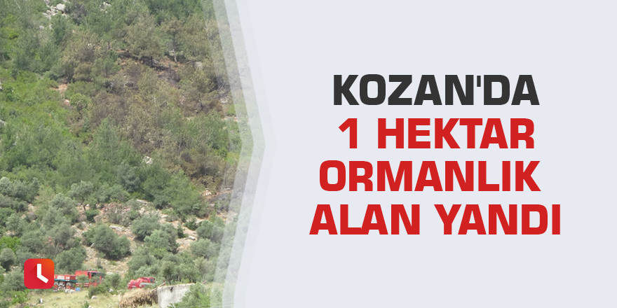 Kozan'da 1 hektar ormanlık alan yandı