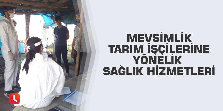 Mevsimlik tarım işçilerine yönelik sağlık hizmetleri