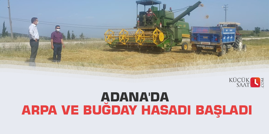Adana'da arpa ve buğday hasadı başladı