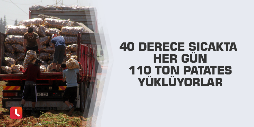 40 derece sıcakta her gün 110 ton patates yüklüyorlar