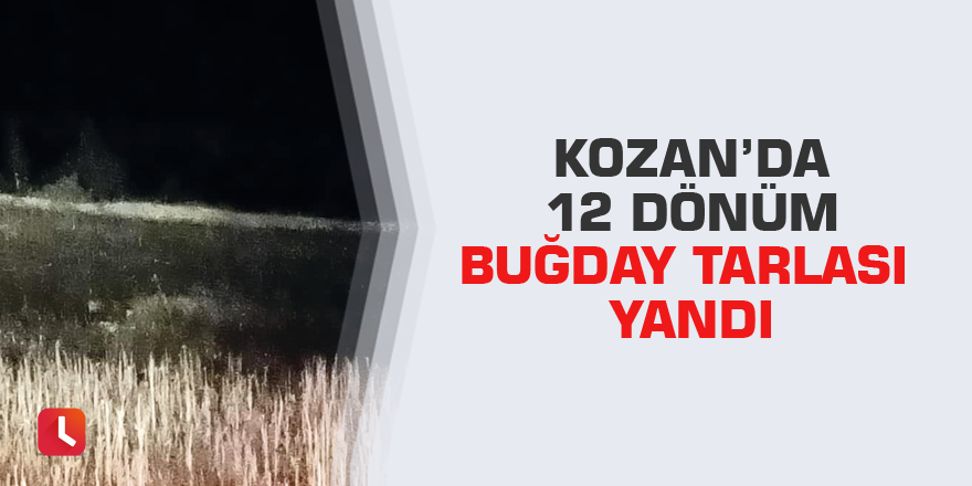 Kozan’da 12 dönüm buğday tarlası yandı
