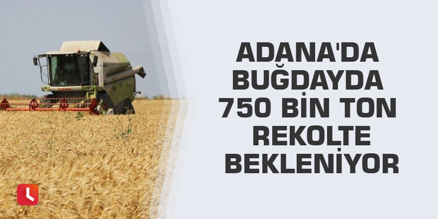 Adana'da buğdayda 750 bin ton rekolte bekleniyor