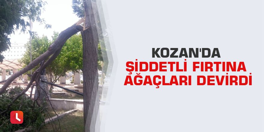 Kozan'da şiddetli fırtına ağaçları devirdi