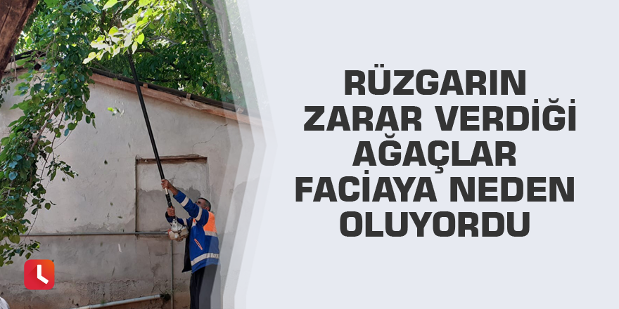 Rüzgarın zarar verdiği ağaçlar faciaya neden oluyordu