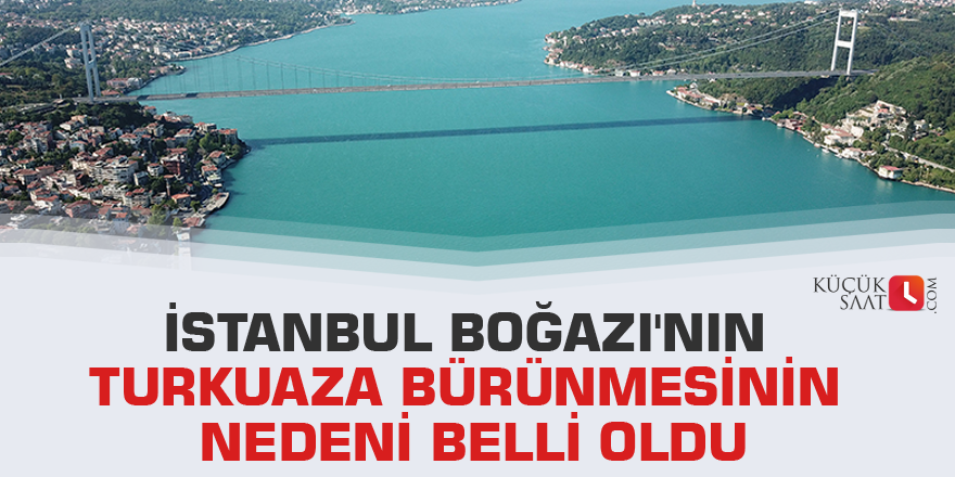 İstanbul Boğazı'nın turkuaza bürünmesinin nedeni belli oldu