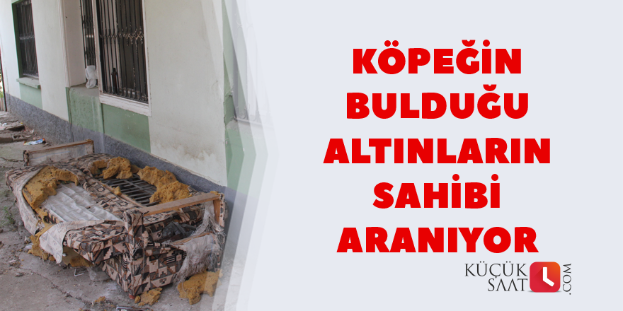 Köpeğin bulduğu altınların sahibi aranıyor