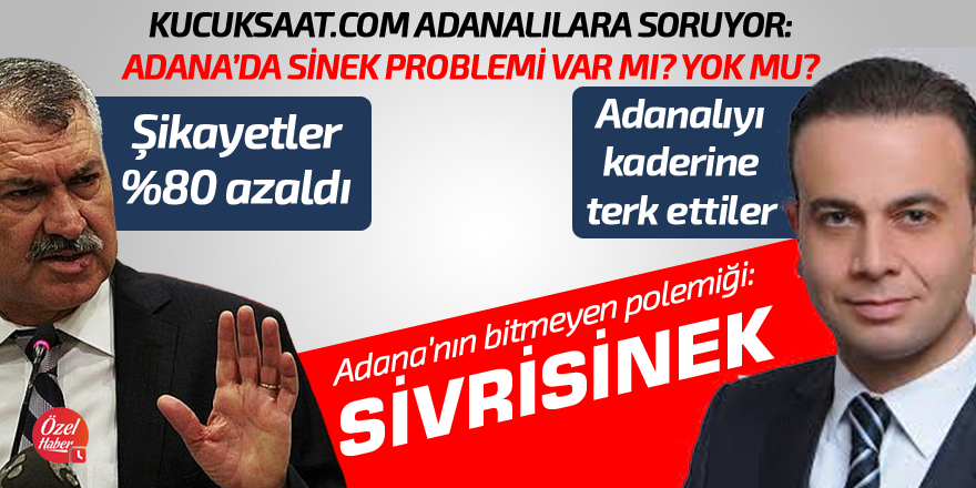 Adana'nın bitmeyen polemiği: Sivrinek