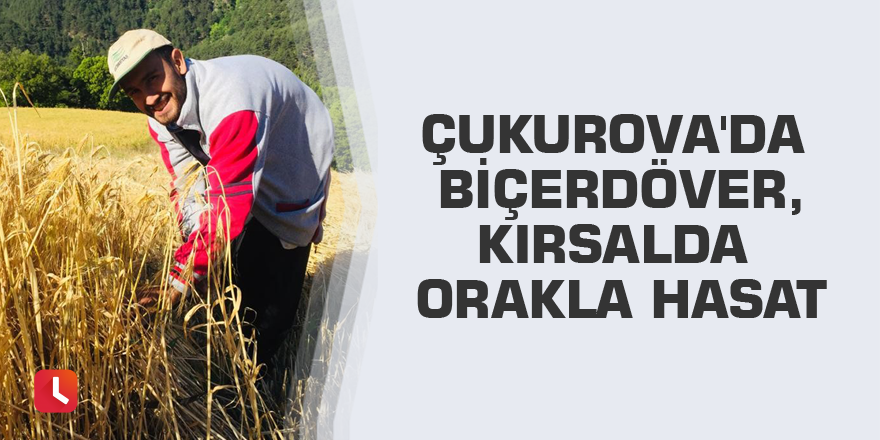 Çukurova'da biçerdöver, kırsalda orakla hasat