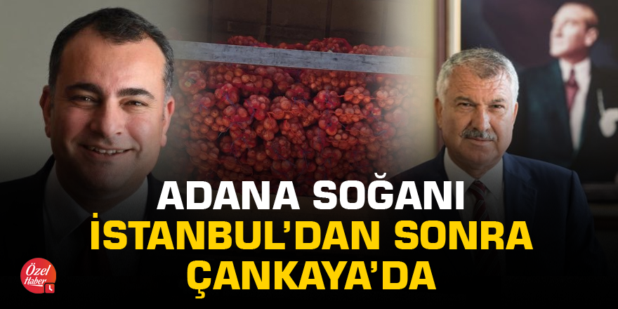 Adana soğanı İstanbul’dan sonra Çankaya’da