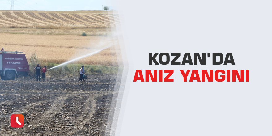 Kozan’da anız yangını