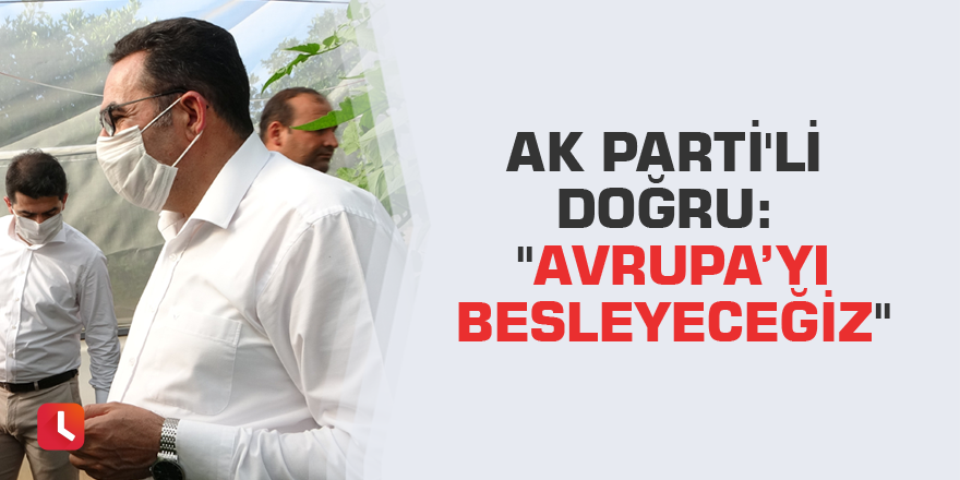 AK Parti'li Doğru: "Avrupa’yı besleyeceğiz"