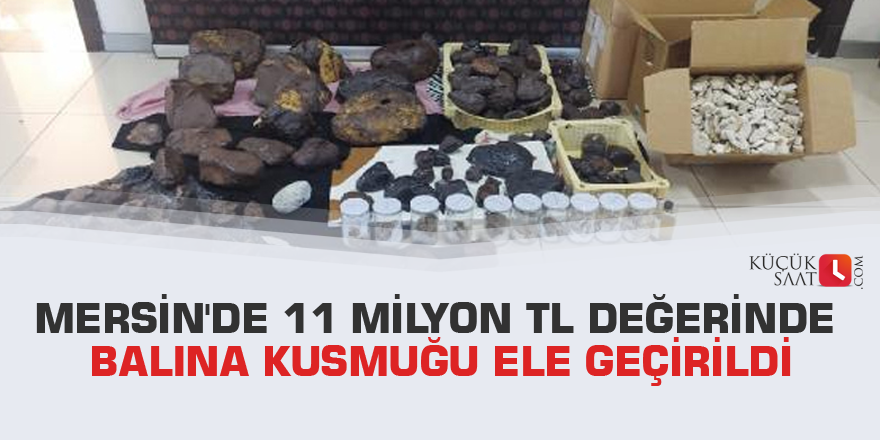 Mersin'de 11 milyon TL değerinde balina kusmuğu ele geçirildi