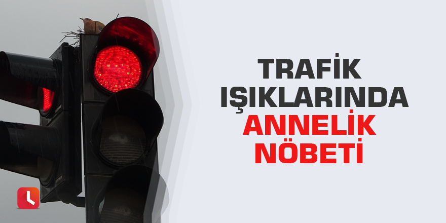 Trafik ışıklarında annelik nöbeti