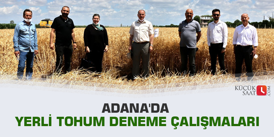 Adana'da yerli tohum deneme çalışmaları