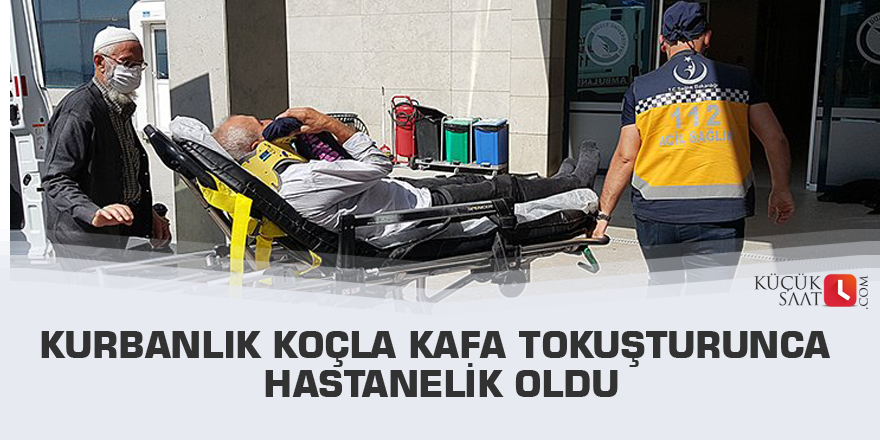 Kurbanlık koçla kafa tokuşturunca hastanelik oldu