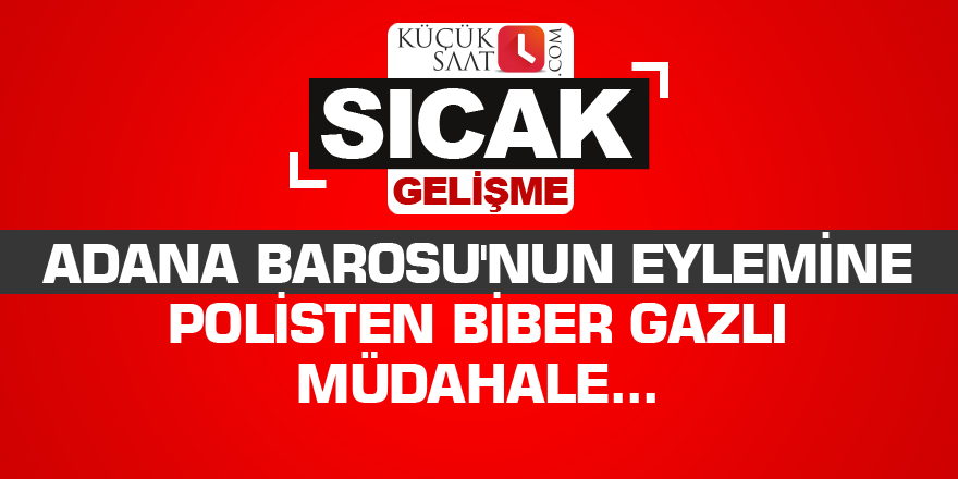 Adana Barosu'nun eylemine polis müdahalesi