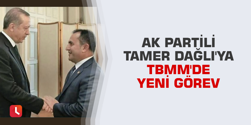 Tamer Dağlı'ya TBMM'de yeni görev