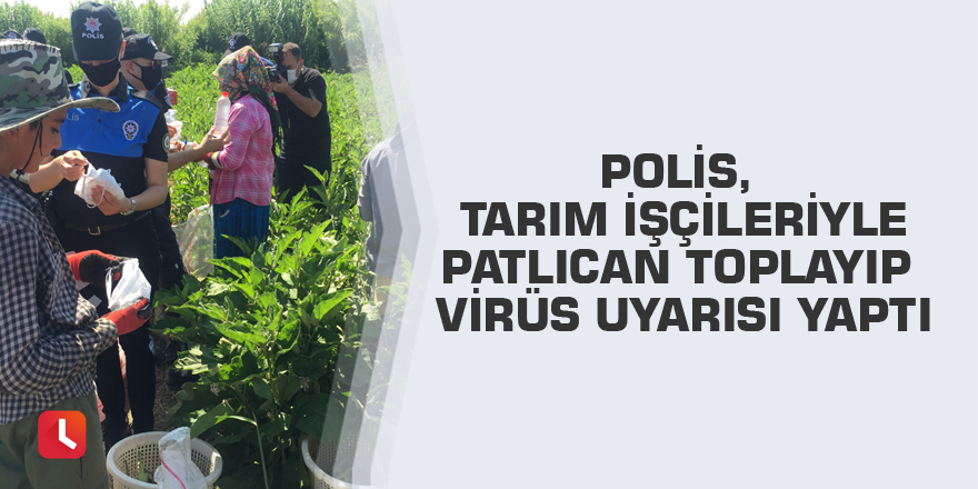 Polis, tarım işçileriyle patlıcan toplayıp virüs uyarısı yaptı