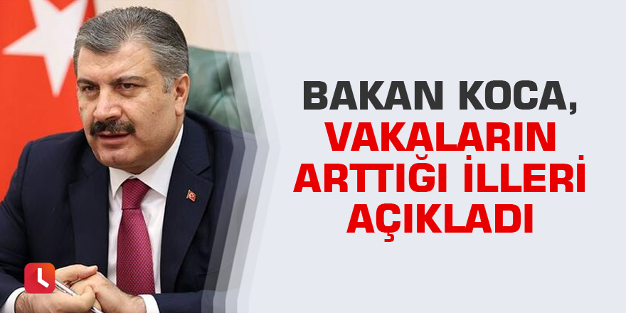 Bakan Koca, vakaların arttığı illeri açıkladı