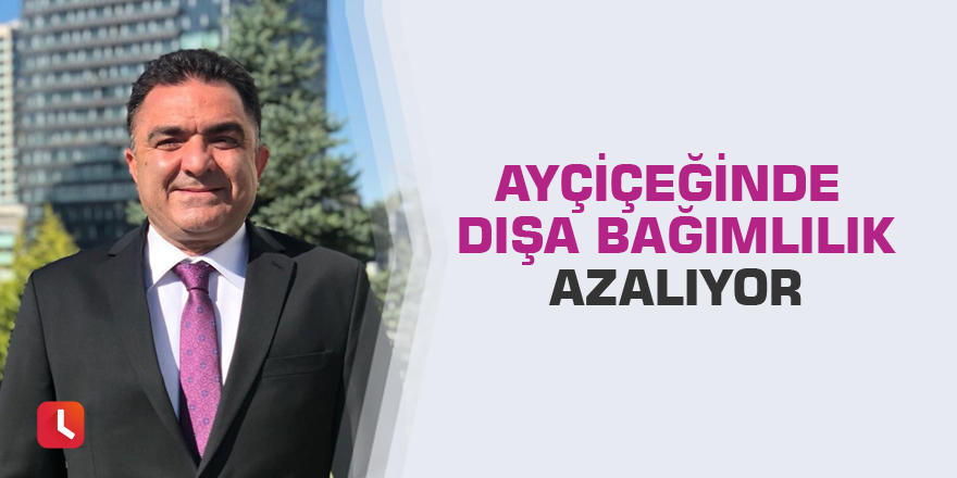 Ayçiçeğinde dışa bağımlılık azalıyor