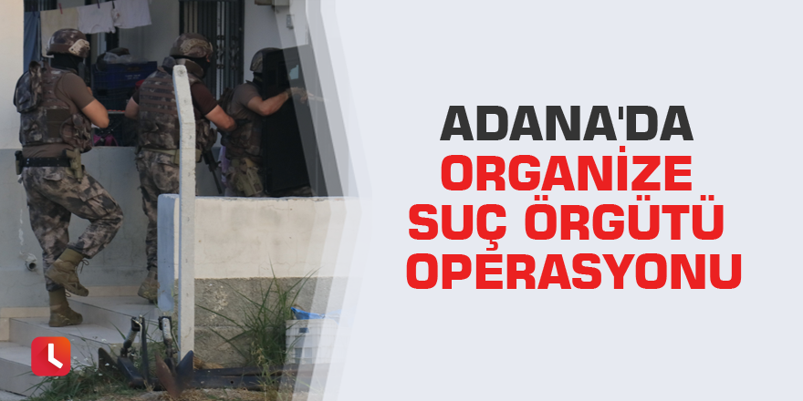 Adana'da organize suç örgütü operasyonu