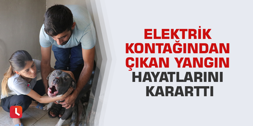 Elektrik kontağından çıkan yangın hayatlarını kararttı