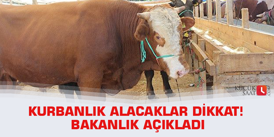 Kurbanlık alacaklar dikkat! Bakanlık açıkladı