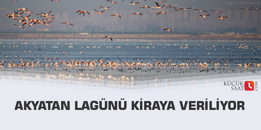Akyatan Lagünü kiraya veriliyor