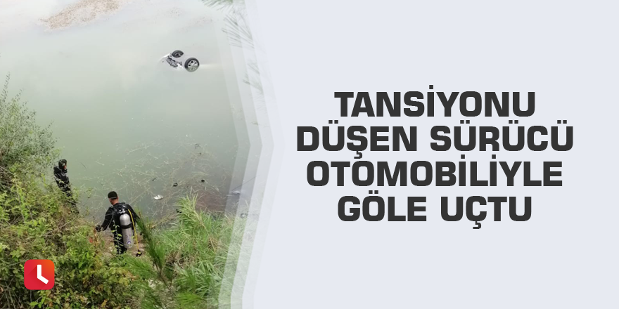 Tansiyonu düşen sürücü otomobiliyle göle uçtu