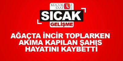 Ağaçta incir toplarken akıma kapılan şahıs hayatını kaybetti