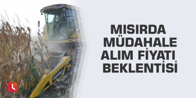 Mısırda müdahale alım fiyatı beklentisi