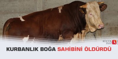 Kurbanlık boğa sahibini öldürdü