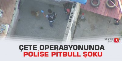 Çete operasyonunda polise pitbull şoku