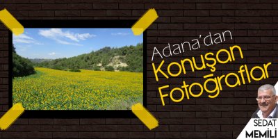 En mükemmel sanatçı: Doğa