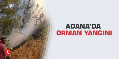 Adana’da orman yangını